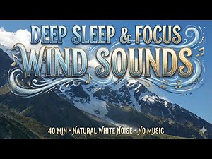 40 Minutes Howling Wind Sounds for Sleep | Natural White Noise (No Music)