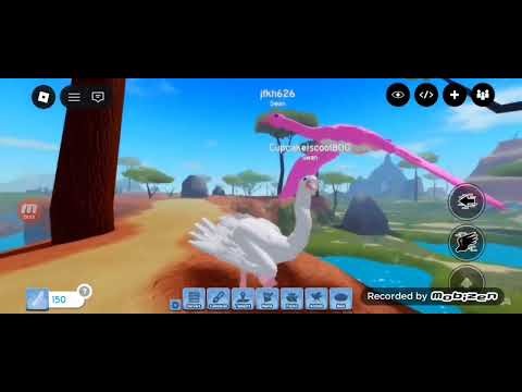 Cupcake be Bird in Roblox!