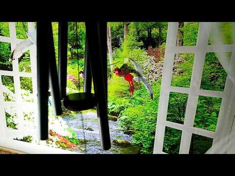 3 Hour Deep Sleep Birds & Wind Chimes 🌙 Calm Night Nature Sounds