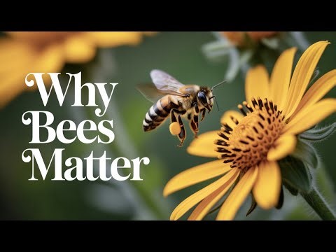 WHY BEES MATTER – AMAZING BEE FACTS AND THEIR ROLE IN NATURE