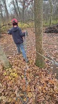 Pulling a Tree Down with 4 to 1 Mechanical Advantage