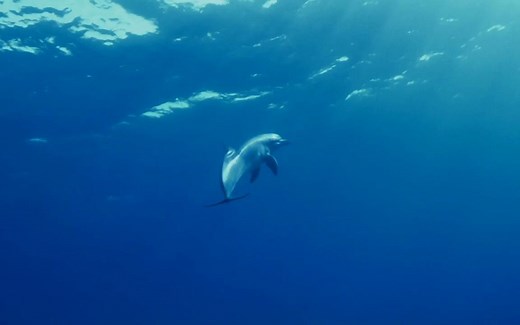 【水域救援】侧扫声呐基础