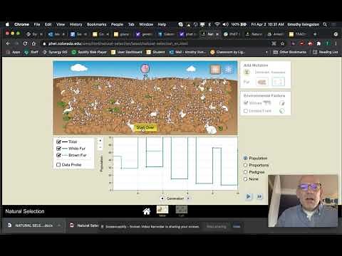 PhET Natural Selection Tutorial Apr 2, 2021