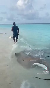 3.1K views · 124 reactions | Bahama Beach Club Resort is open for the Christmas and New Year Holidays! Join us, contact: Natalie@BahamaBeachClub.com | Bahama Beach Club Resort | Facebook