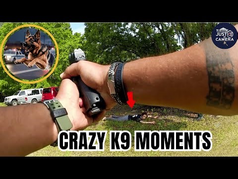 Craziest Police Chase Compilation Police K9 Takedowns Caught on Camera #2