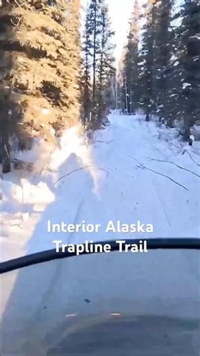 Interior Alaska Trapline Trail #alaska #alaskatrapping #enigmaticgwichin #gwichinnation #shorts