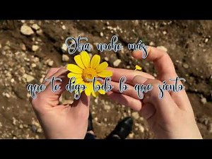 Tony Milan ❌ Dime como hago ❓