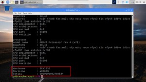 Identify Your Raspberry Pi Board Version with One Command #piday #raspberrypi @Raspberry_Pi