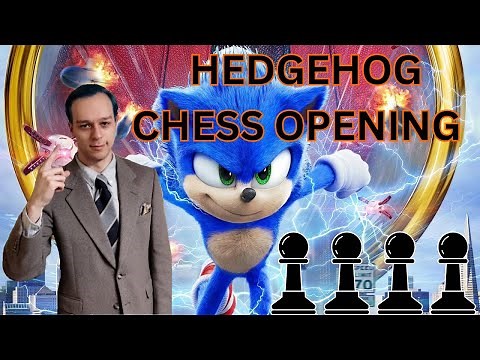 Hedgehog Opening EXPLAINED!