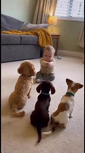 15K views · 108 reactions | Cute Baby Playing with Animals | Adorable...