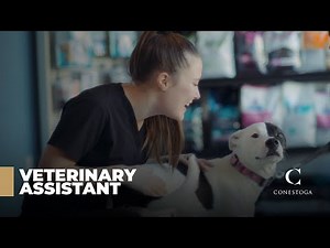 Veterinary Assistant