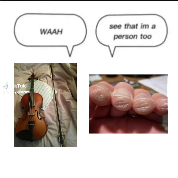 Discover the Art of Viola Performance in Orchestra