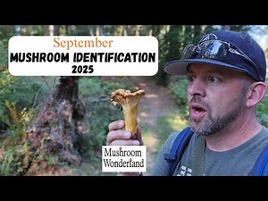 September Wild Mushroom ID 2025- edibles and more!