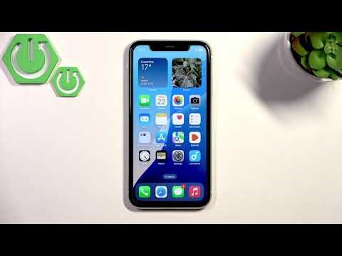 How do I fix screen flickering on iPhone Xr?