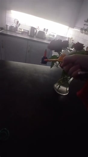 Which is my best Knex Gun?