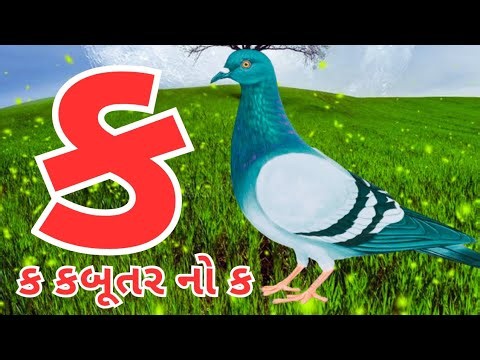Gujarati kakko | કક્કો ગુજરાતી | ગુજરાતી કક્કો અને સ્વર | ક ખ ગ ઘ | kakko gujarati #kakko #કક્કો 440