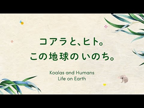 【東山動植物園公式】コアラ来園40年の軌跡「コアラと、ヒト。この地球のいのち。」～地球のいのちに出会う森～