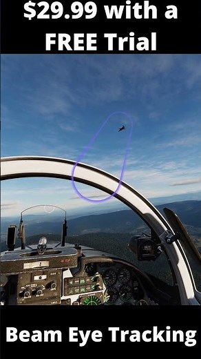 Beam Eye Tracking for DCS World and other sims