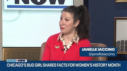 Chicago 'Bug Girl' reveals wild facts about female insects | Haystack News