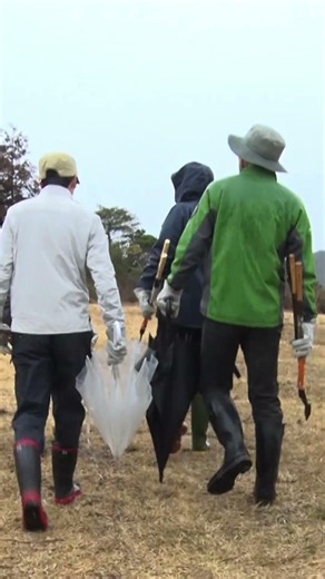 レンジャー・ウォッチング！雲仙天草（ハイライト）｜日本の国立公園