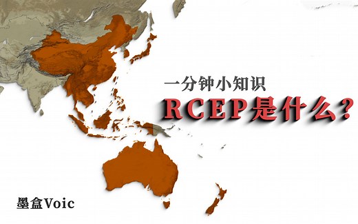 RCEP是什么，全球最大自贸区RCEP怎么来的？区域全面经济伙伴关系