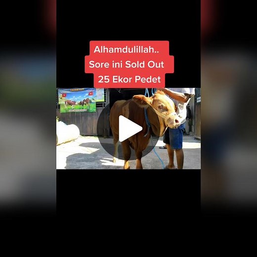 YT : Rojo.Koyo.Channel on TikTok