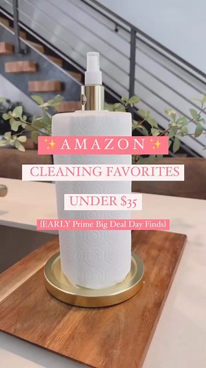 10K views · 113 reactions | Cleaning favorites UNDER $35 ! They are...