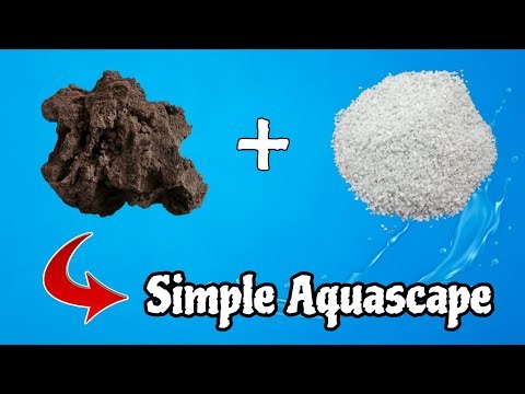 How to Build a Simple Betta Fish Aquascape with a Hang-On-Back Filter | DIY Aerator HOB Filter Setup