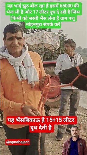 Village Mohanpur Animal Fair Buffalo is for sale, it is for sale