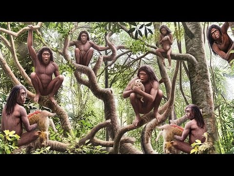 Evolutionary Timeline of Homo Sapiens |आदिमानव से इंसान तक का सफर | journey from early man to human