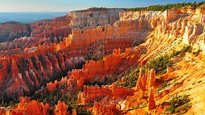 335 reactions · 88 shares | Brand-New Backroads Video! Welcome to a...