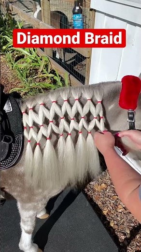 How to DIAMOND BRAID a Horse Mane (full tutorial on channel) #horsebraid #diamondbraid
