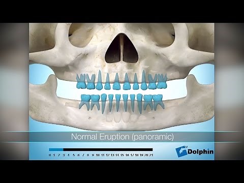 Dolphin Imaging & Management Solutions: Aquarium© software video montage