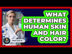 What Determines Human Skin And Hair Color?