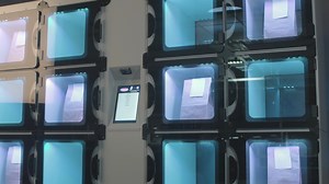 14 reactions | Mobile ordering food at stadiums and arenas is...