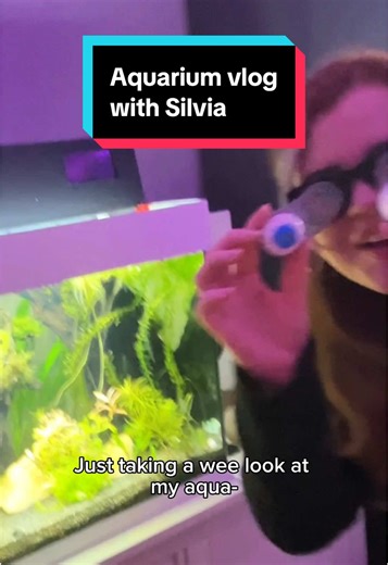 Aquarium Vlog: Exploring Fish for the Holidays