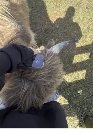 Funny Bunny Adventures in the Field with Friends