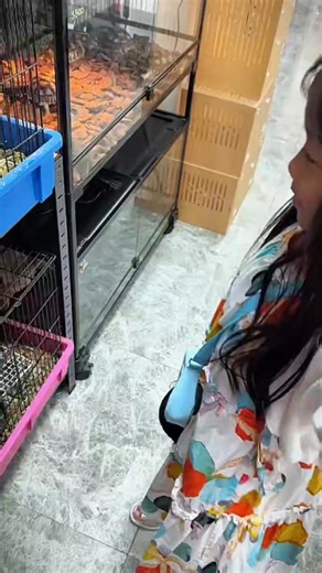 The cute prairie dogs bring endless joy to the girl's… | Funny Animal Club
