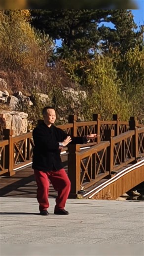 The Human Anatomy in Tai Chi Chuan: The basic body mechanics of Tai Chi Chuan require complete adherence to the human body's structure, thus demonstrating the scientific nature of this exercise. Tai Chi Chuan's body mechanics include: sinking the shoulders and dropping the elbows (upper limbs); relaxing the hips and lifting the knees (lower limbs); straightening the waist and crown of the head (torso); slightly tucking the chest and straightening the back (chest and back); pulling the hips in an