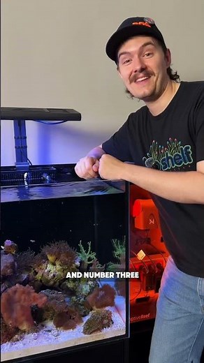 3 Killer Features! #brstv