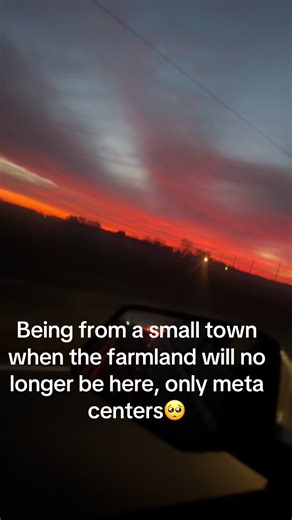 Save local family farms 🥺