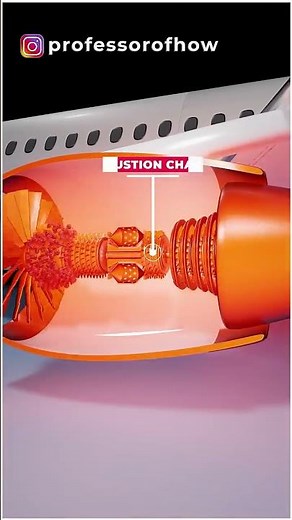 What if a Bird hits Aeroplane? #shorts