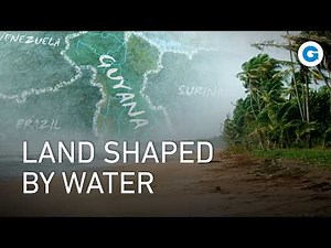Wildlife of Guyana’s Wild Coast: Between Land and Water | Full Documentary