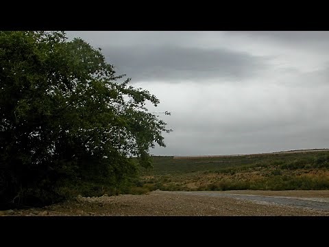 JACOBO PERI EURIDICE Opera 1561 1633