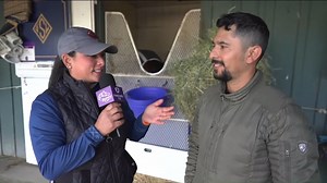 Slider hamming it up in the background while Juan Leyva talks about our boy for the Breeders' Cup Juvenile Turf Sprint, as well as looking back at Flightline and Juan's BC win as a jockey. | West Point Thoroughbreds, Inc.