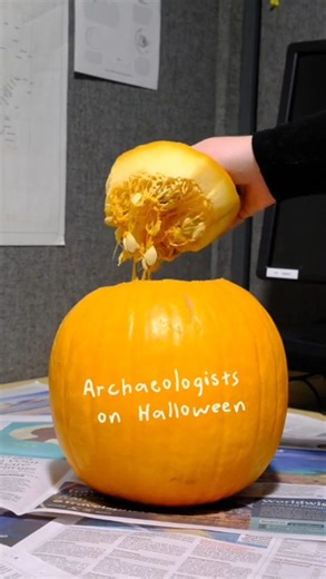 78K views · 667 reactions | We unearth the past… and maybe a few pumpkin seeds!  #HappyHalloween #pumpkinseason #pumpkincarving #spookyseason | Oxford Archaeology | Facebook