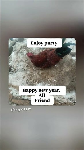 peg Nni Giney_ #shorts #shortfeed #music #masti