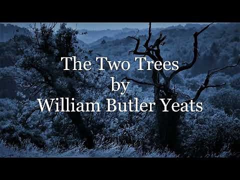 The Two Trees by William Butler Yeats