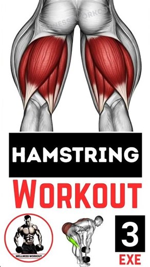 3 Best Hamstring Exercises #HamstringWorkout #LegDay