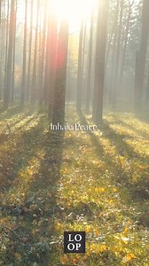 23 reactions · 67 shares | God is inviting you into something beautiful. Subscribe today (free!) to join 130,000 other women & read along. | Loop - Community for Women | Facebook